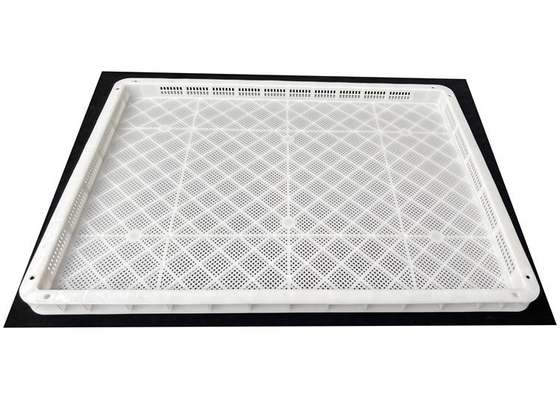Bom preço. Taças de secagem de plástico de qualidade Hdpe PP para alimentação on-line
