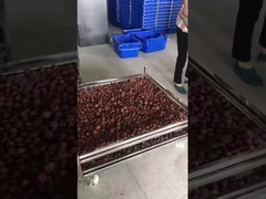 Trolley de malha de arame de aço inoxidável para secagem