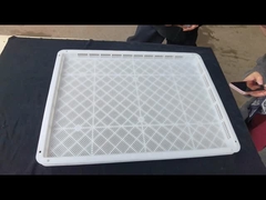 Caixa de secagem de alimentos em plástico empilhável de PP