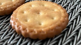 Rede de arame de espinha de peixe de alta temperatura resistente ao calor de aço inoxidável do transporte da padaria do metal 304 Bisc