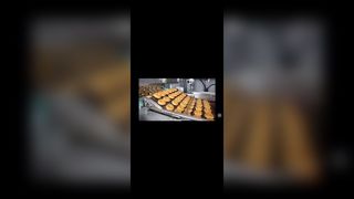 Correia de aço inoxidável do cabo flexível da rede de arame do transporte do elo de corrente da escada do forno da pizza para o enrobe do chocolate,