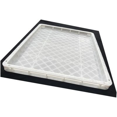 Bom preço. Caixas de secagem de plástico empilhável de qualidade alimentar perforadas utilizadas para congelamento de frutas e legumes Caixas de congelamento de frutos do mar on-line
